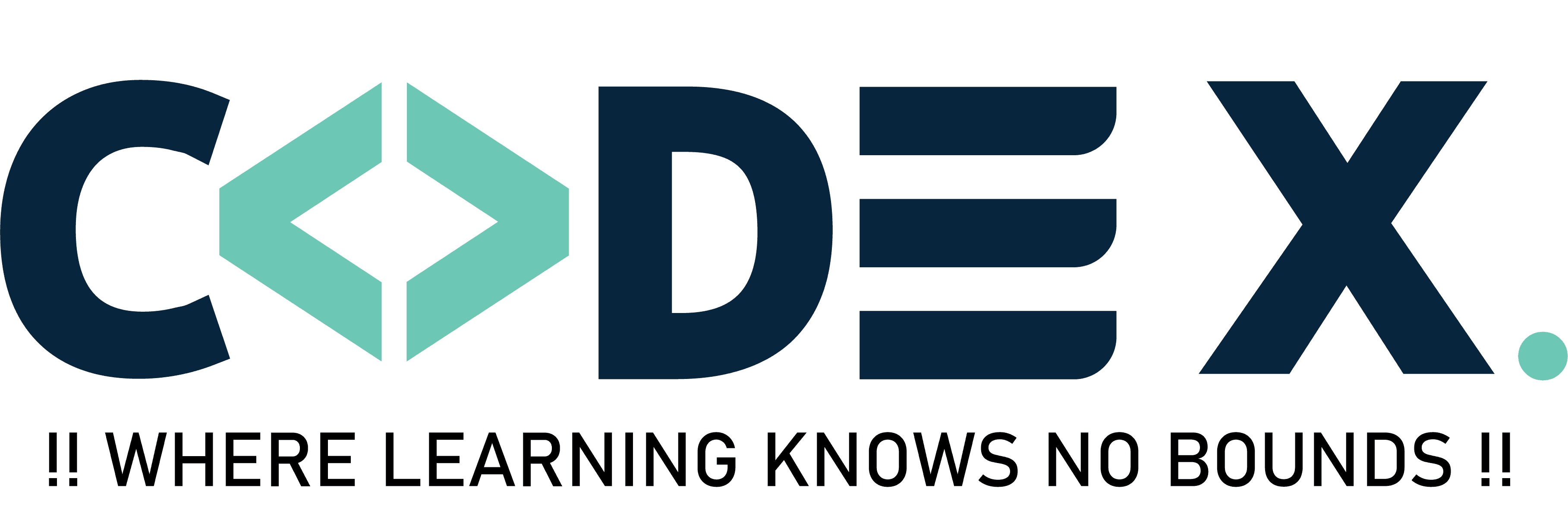 CODEX. Official Logo